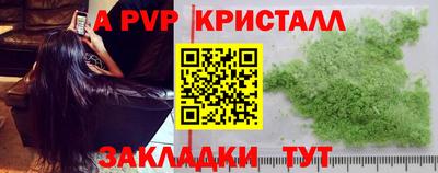 крисы Гагарин